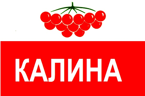 Дизельне паливо (Євро 5), АЗС Калина, талон